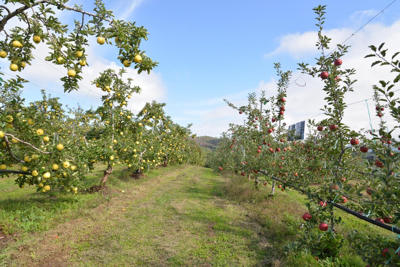 Shinshu Yokoya Farm Apartment Мацумото Екстериор снимка