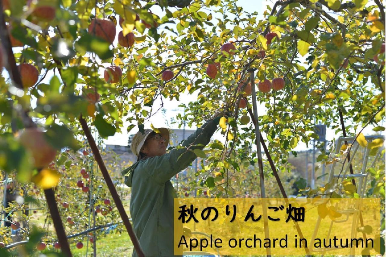 Shinshu Yokoya Farm Apartment Мацумото Екстериор снимка